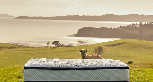 Single Mattresses