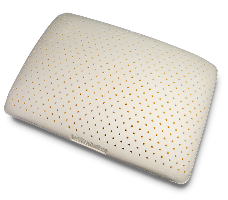 All Natural Latex Pillow